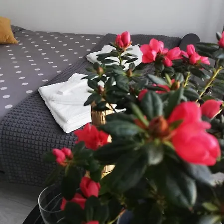 Marlen's Appartement Boekarest